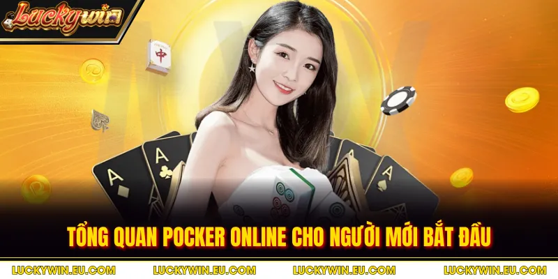 Tổng quan Pocker online cho người mới bắt đầu